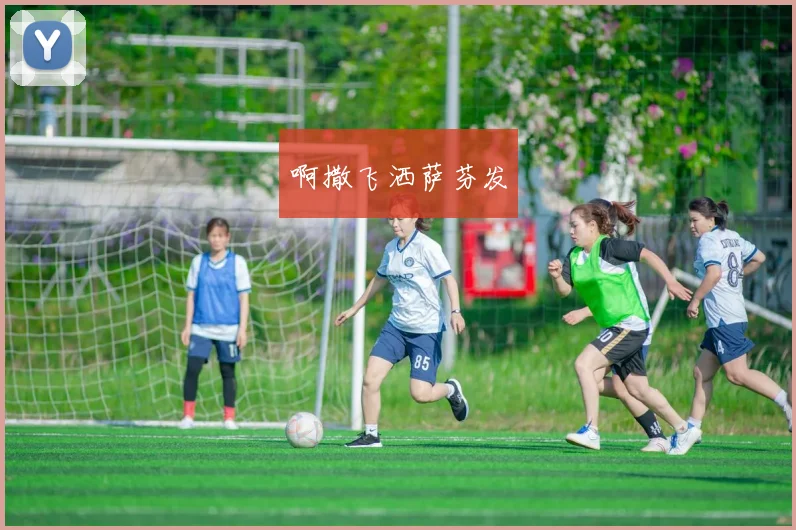 姚明NBA十佳球：重温巨人的经典瞬间
